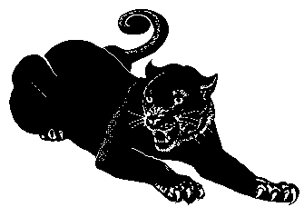 Panthers 